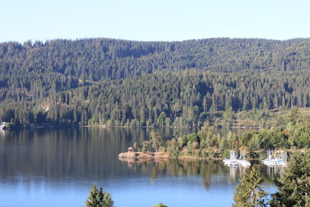 Fewo Sperlingskauz Mit Pool, Sauna & Hochschwarzwaldcard Шлухзее Экстерьер фото