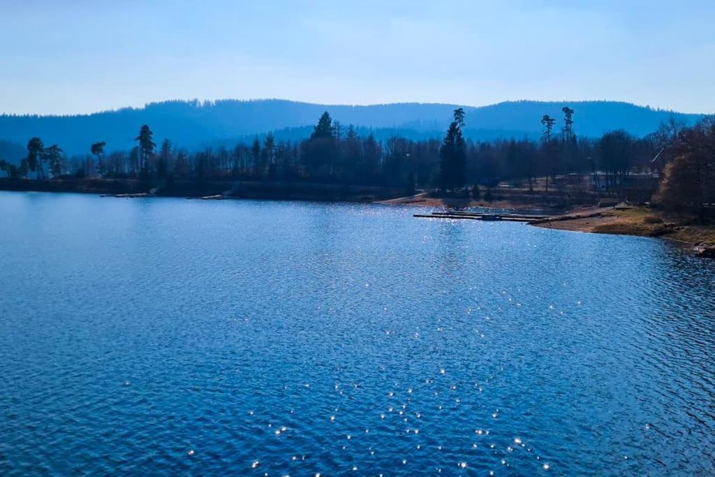 Fewo Sperlingskauz Mit Pool, Sauna & Hochschwarzwaldcard Шлухзее Экстерьер фото