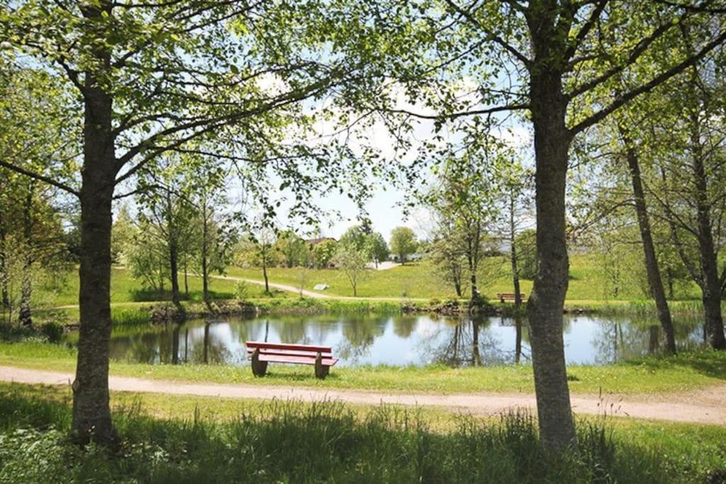 Fewo Sperlingskauz Mit Pool, Sauna & Hochschwarzwaldcard Шлухзее Экстерьер фото